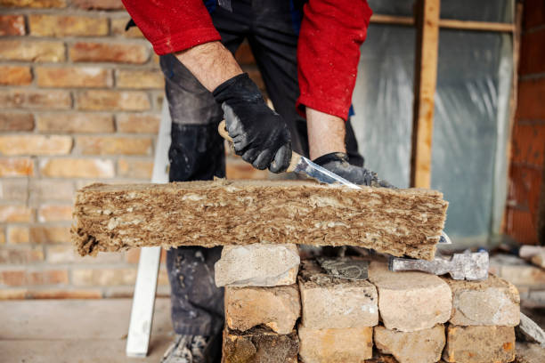 Best Insulation for New Construction  in Davie, FL